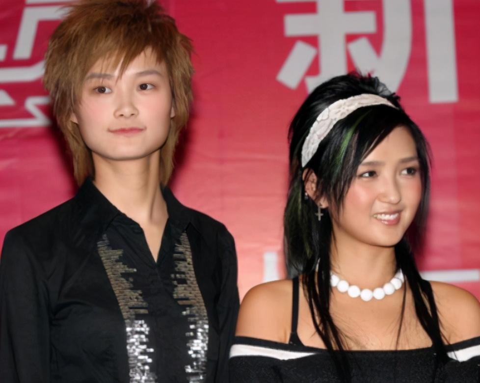 何洁|抹黑释小龙污蔑李宇春，害赫子铭事业尽毁，她把一手好牌打稀烂