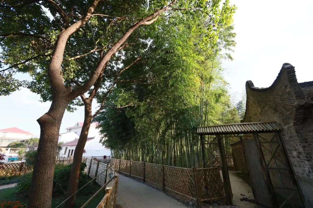 浦东发布 浦东有六个村被评为2020年度上海市美丽乡村示范村,你都去过吗?