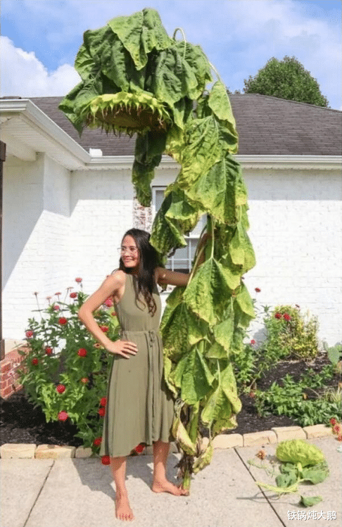 |12个“大”和“小”的极端对比照！看完才知道自己太渺小