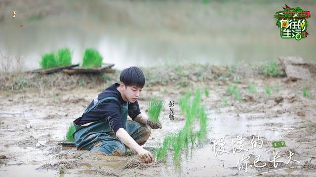 张子枫■向往的生活发首个海报，C位非他莫属，张子枫真受宠