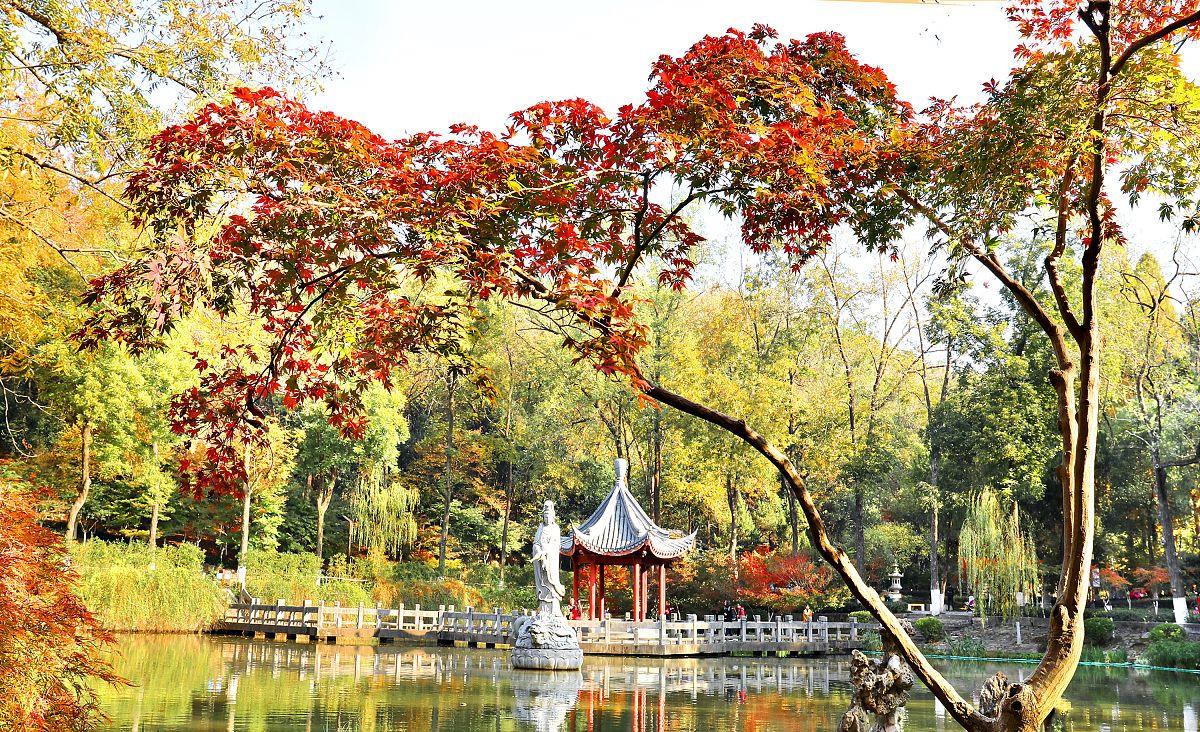 云南|错峰旅游，11月份最值得去的三大目的地，去过一个以上就是达人