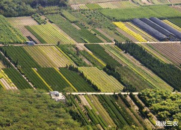 戏说三农|土地承包关系有变化？一户一田受追捧，3省推动试点！与归并无关