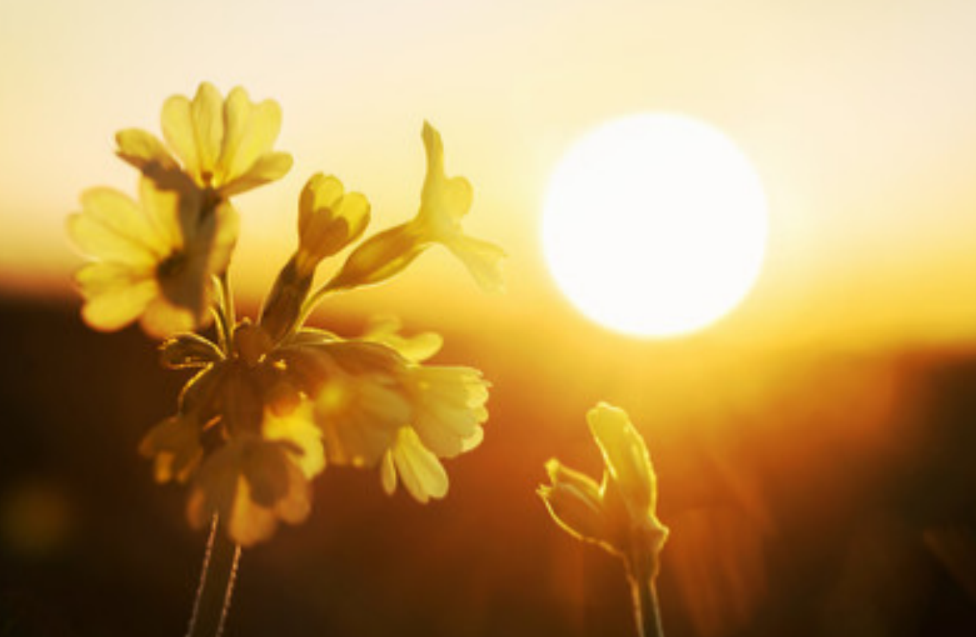 |“吸阳”的事，为了健康，再喜欢也要忍住!