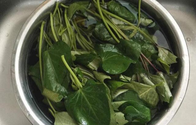 红薯|立秋后，多吃这菜，铁是菠菜3倍，钙是豆角5倍，做成面食最好吃