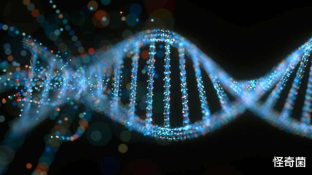 核聚变|基础科学已陷入停滞，谁“锁死”了人类的发展？