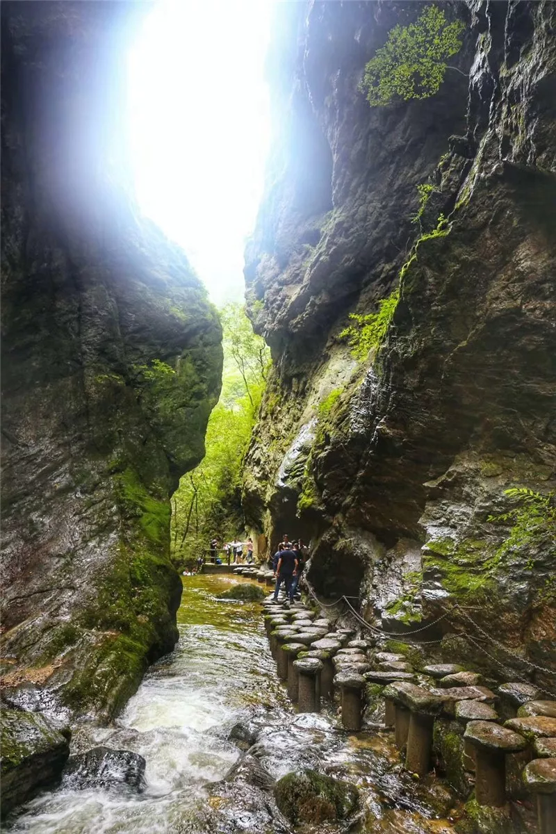 [秦岭]一个美了四季的地方，她就在秦岭山里