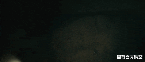 张子枫|张子枫高考第一个交卷,得知原因后,明白黄磊何炅为何喜欢她了