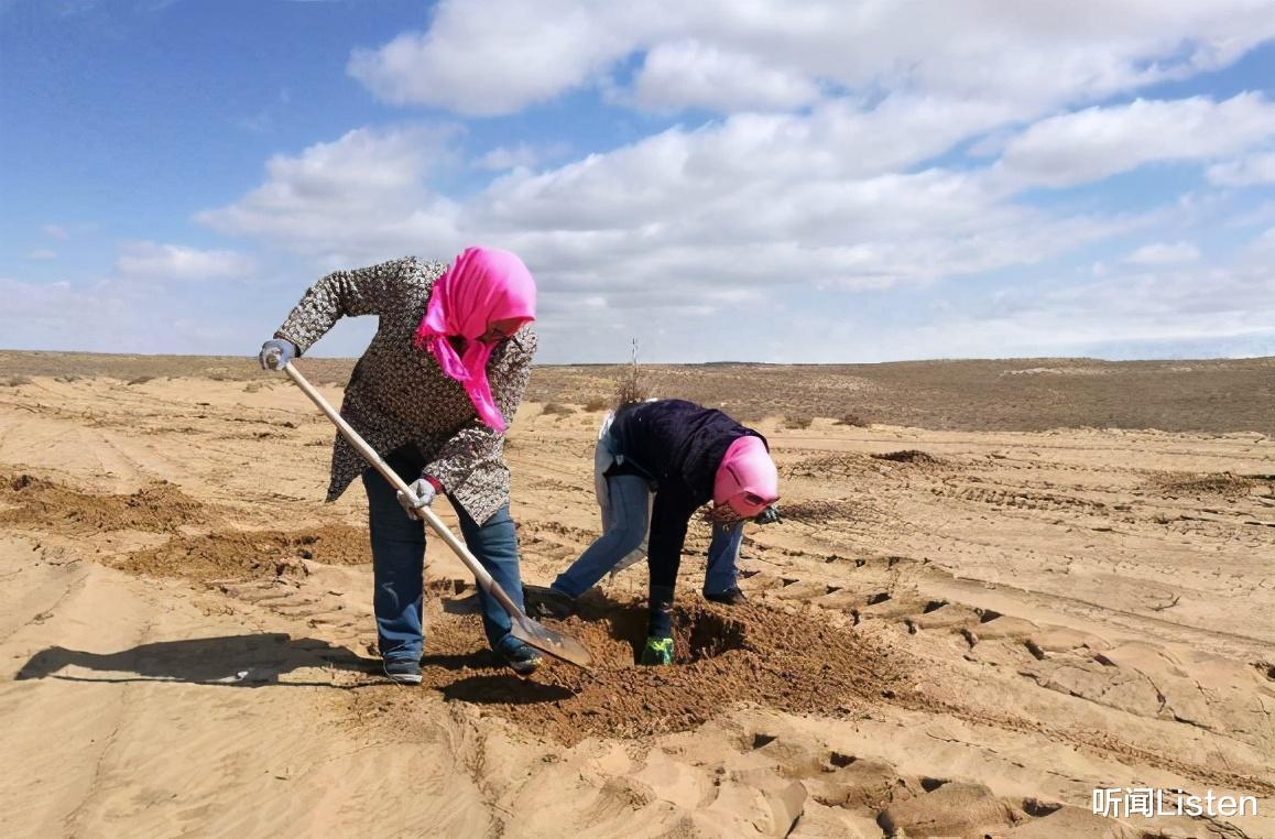阿里巴巴|阿里巴巴只甩出一张照片，西方就集体闭麦，美媒：中国处处是奇迹