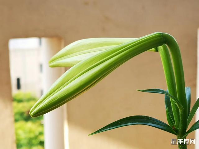 算命|哪几天出生的人，富不富都有鸿鹄之志，穷者能翻身，富者可更富