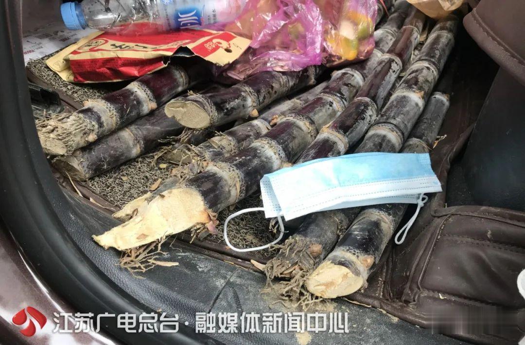 江苏新闻|“妈妈半年养的，都给我带走了！”