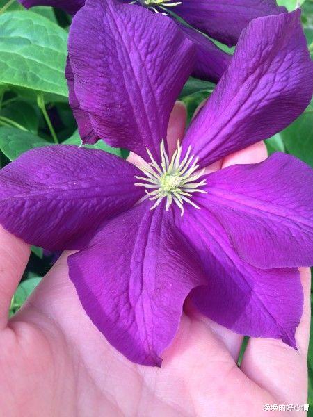 拥抱|9月将到，桃花不散，真爱走来，纸短情长，再度拥抱旧爱的4大星座