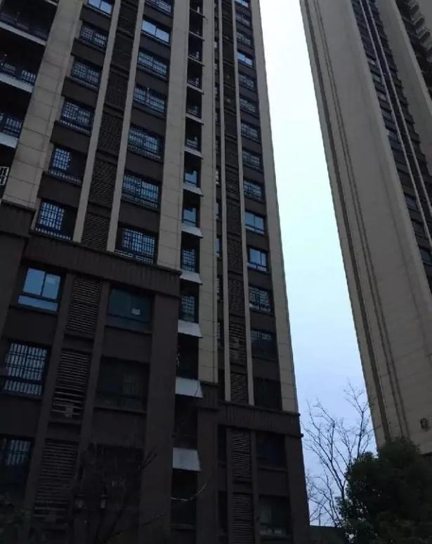 []亲妈将2岁儿子推下楼致死，婆婆即埋怨又不舍儿媳，警方已批捕！