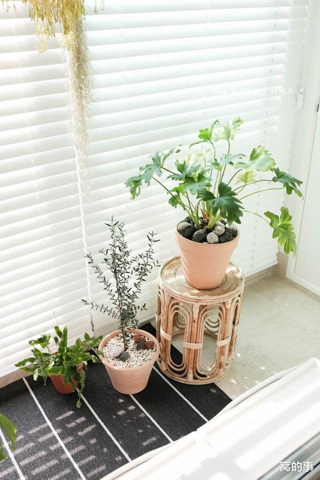 『电影』韩国夫妻晒出80㎡婚房，引数万人关注，精致温馨，堪比电影中场景