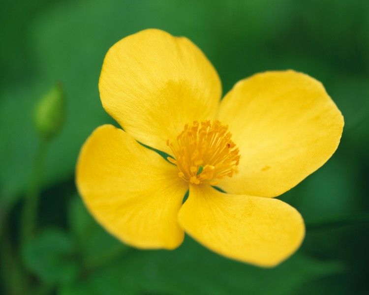 |未来90天,好运滚滚来,事业格局好,大小财入户,大富大贵的生肖