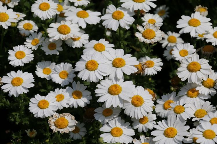 生肖|在七天之后，迎红火好运，赚钱势头难挡，生活质量攀升的四大生肖