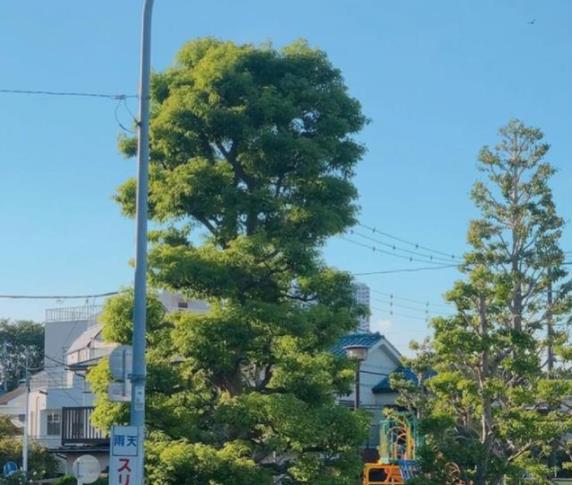 「」那些不想听懂的歌词