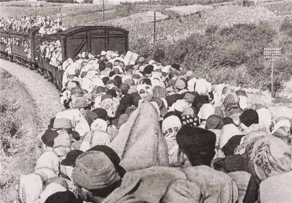 [间谍]日本投降后，遗留我国东北的10万女性去哪了？说出来别不信