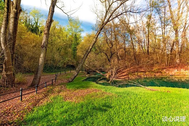 旧爱|10月，烟火微凉，爱已成殇，谢绝旧爱，果断放手，转身迎接春天