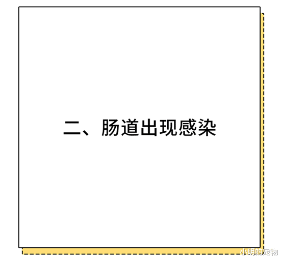 大肠癌|经常放屁是肠癌的信号？医生坦白：有这3个症状要更加警惕！