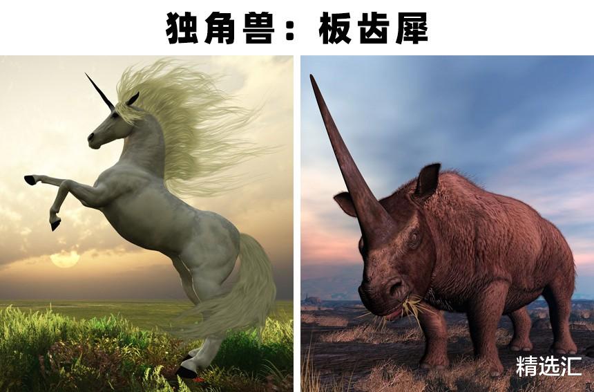 火蝾螈|被证明可能拥有真实原型的7个神奇的生物
