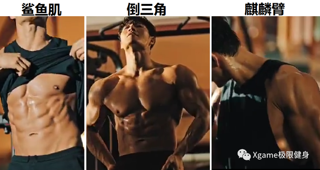 肝脏|一张图告诉你,44岁金钟国的肌肉有多牛!