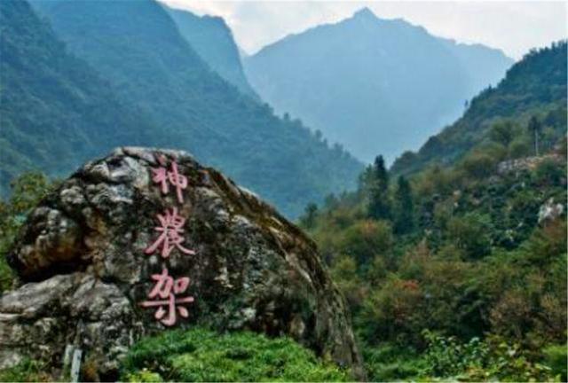 『神农架』神农架出现“驴头狼”，早已灭绝50万年的物种，怎么又突然出现？