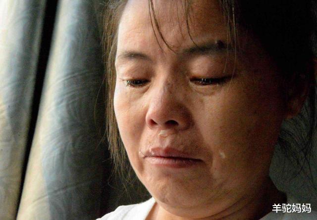 野鸡大学|女儿被985大学录取，全家人正开心庆祝，亲戚却建议“复读吧”