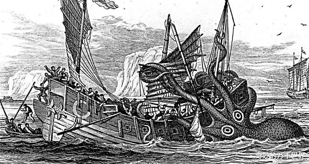 海怪“克拉肯”是螃蟹还是章鱼?海岸上的海怪尸体究竟是什么?