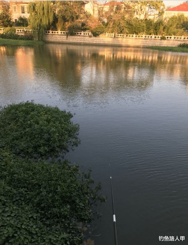 []阴雨天鱼口会更好？不懂分辨真正好天气，出门钓鱼等于浪费时间
