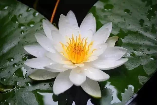 生肖■能和这3个生肖女在一起,家庭和谐,很能照顾丈夫