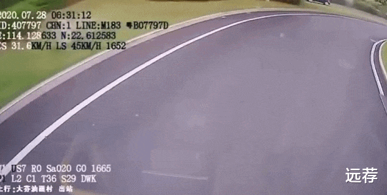 台风|深圳司机开车捡水杯时撞死人后续！双方全都有责任！