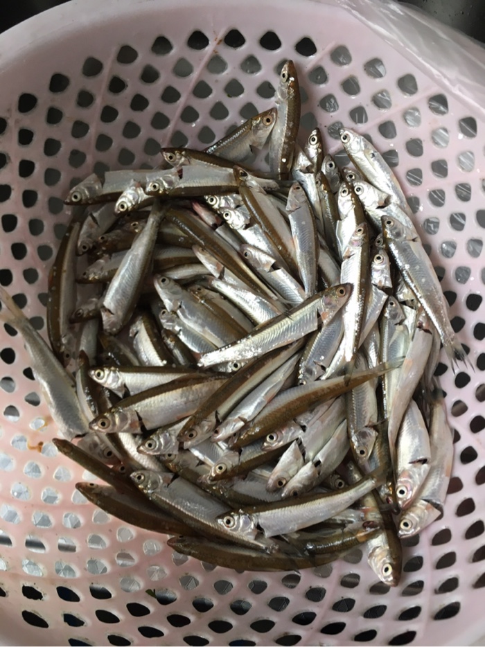 |小白条解毒也快乐