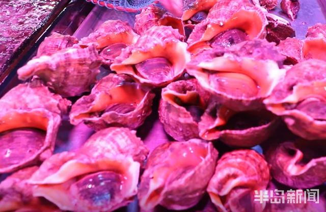 半岛新闻客户端|螃蟹50元、大海螺45元！记者走市场逛码头，青岛最“鲜”海货价格表来了