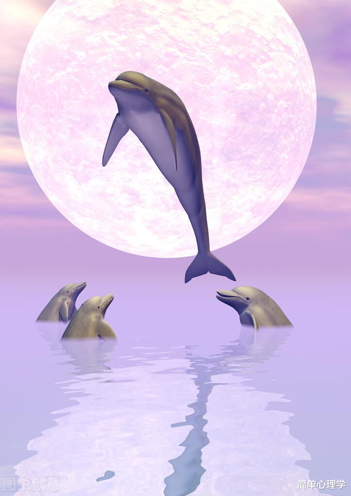 心理測試：4張海豚照片，你最喜歡哪張？測你的感情觀-圖6