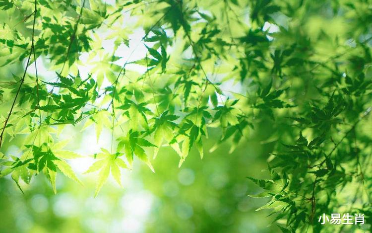 |8月1号起，财运旺盛，好运源源不断进家门，日进斗金生活美的3属相