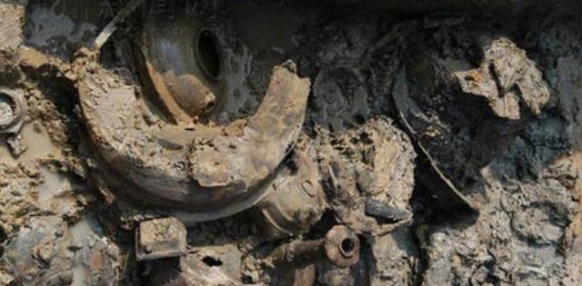 古墓：大雨冲出2000多年古墓，一只“千岁”龟爬出，专家：你吓到我了