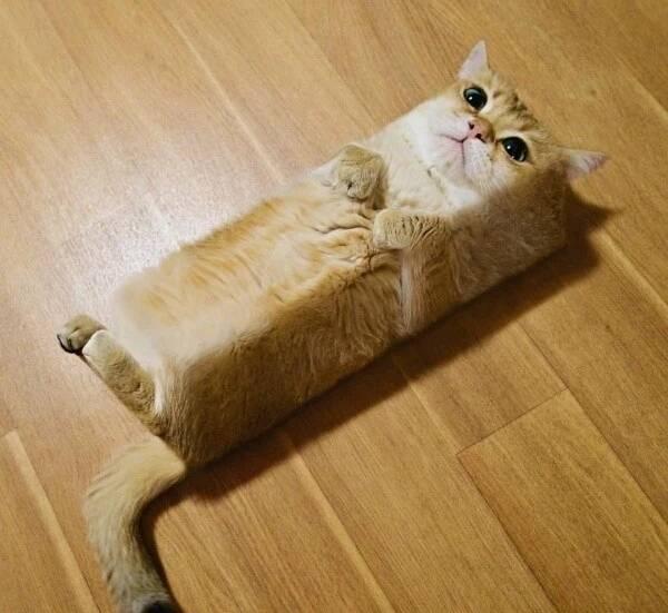 |下班后，同事们都走了，就剩我一个人还留在办公室加班，太苦啦，哈哈哈~