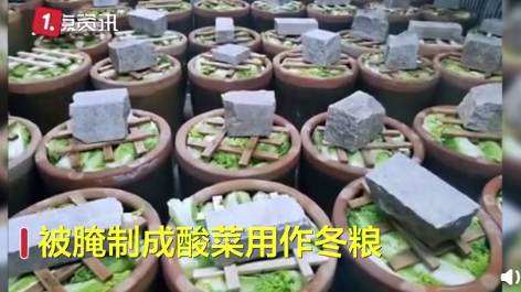 带鱼|沈阳一食堂上热搜!场面像“坦克大战”,这也太馋人了吧!