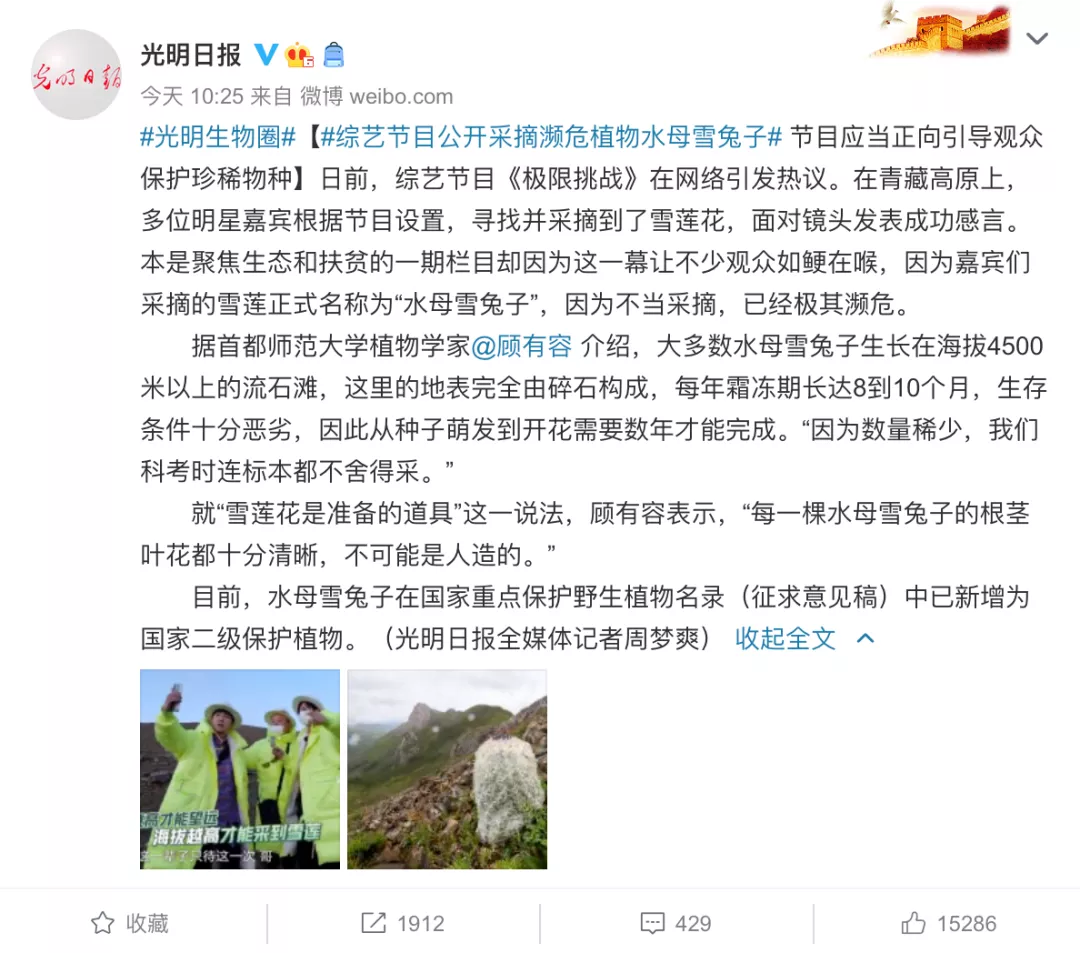 极限挑战|极限挑战节目组道歉了,可那颗雪兔子再也回不来了