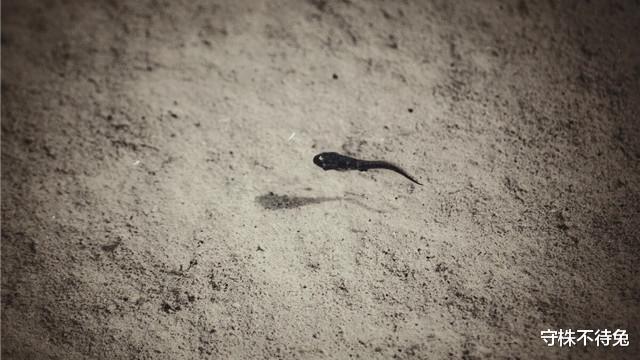 |21个冷知识：真实存在于世界，但或许只有少数人知道