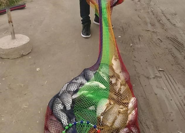 |钓鱼总是钓到鱼鳞，这样做的话，就可以把鱼轻轻松松钓上来