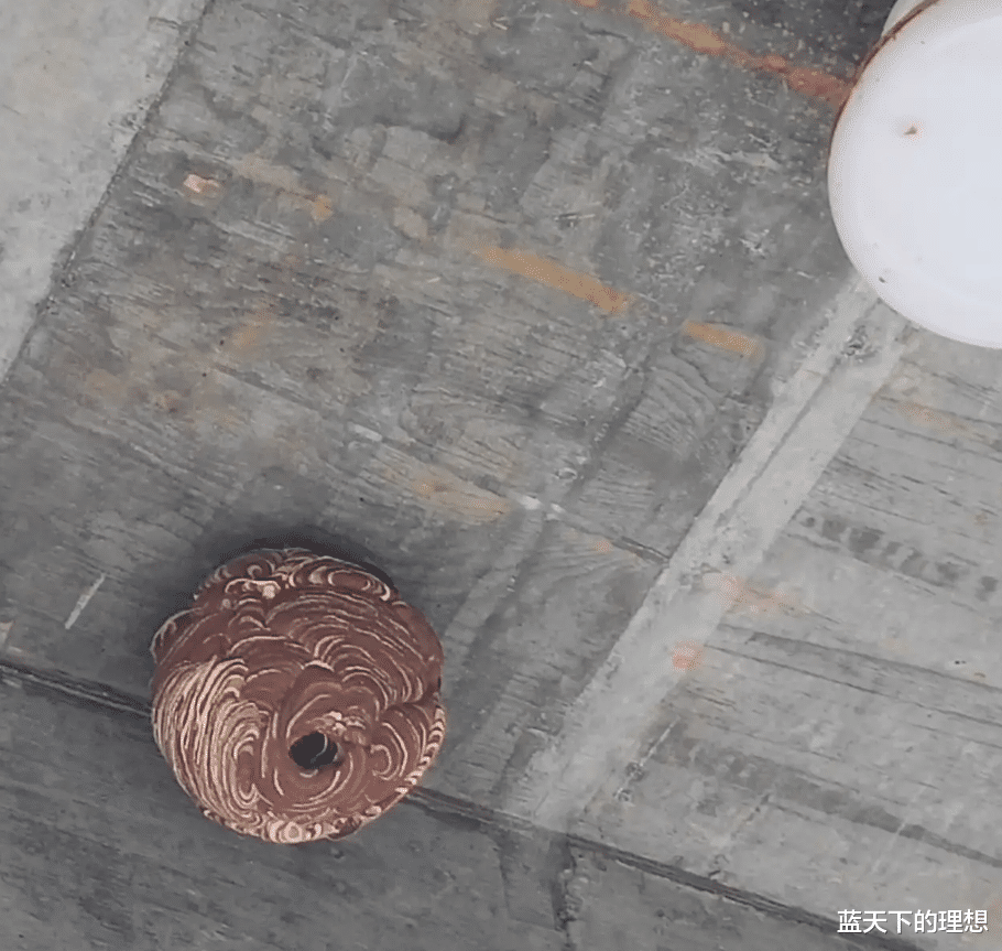 |“快捷酒店地板装修成这样子，哈哈...刚出电梯两腿就发软了！”