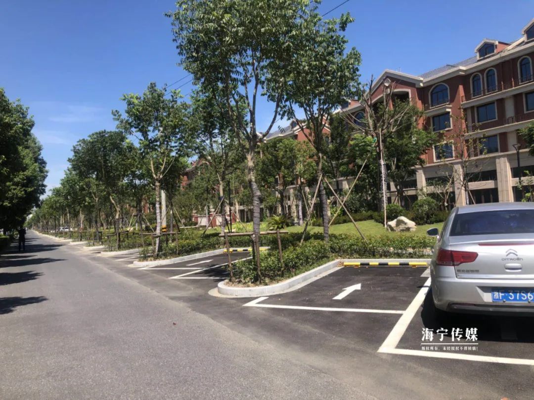 海宁日报|海宁市人民政府发布重要公告!