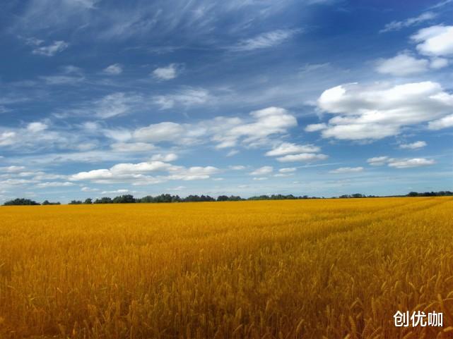 生肖|爱情中，隐藏极深的3个星座，不想说的心事，永远猜不透