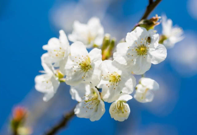 康庄大道@6月底翻身转运，事事发展顺利，走上康庄大道，事业有为的生肖