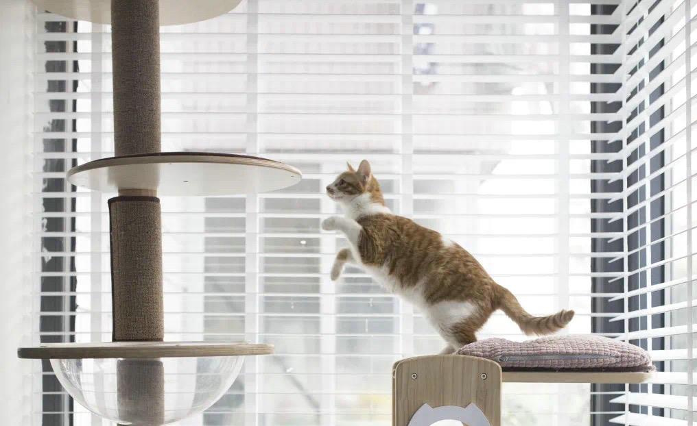 「」64㎡旧房翻新计划,7处细节设计把空间利用到极致,全屋焕然一新