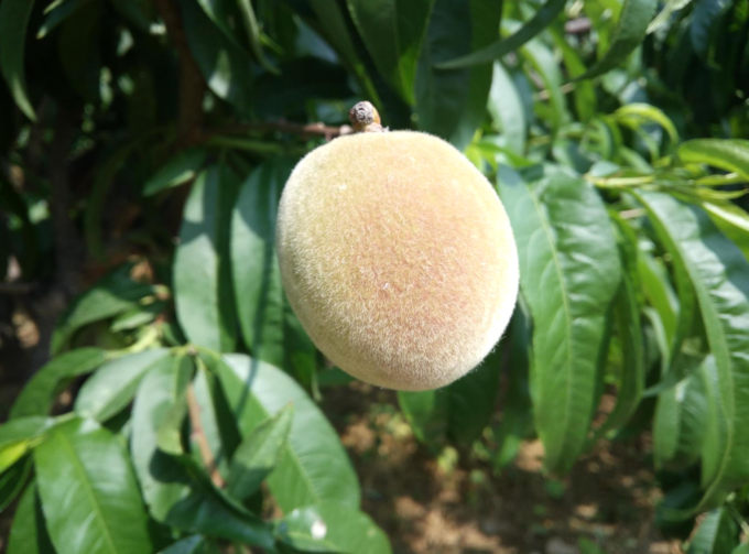 秦岭|秦岭扯袍峪森林公园攻略