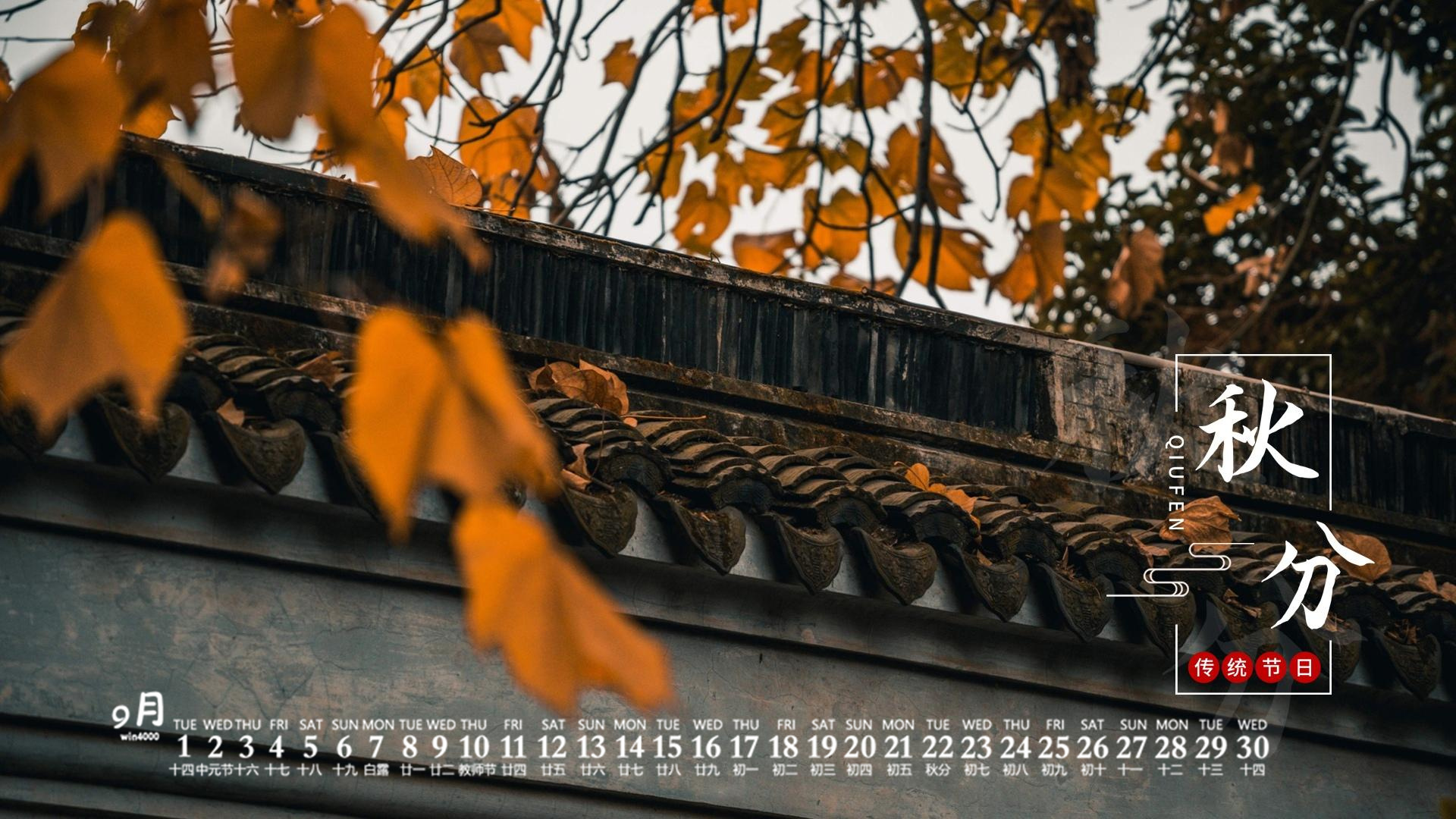 秋分|从秋分开始，运势如虹，会福星高照，富贵相伴的三大星座