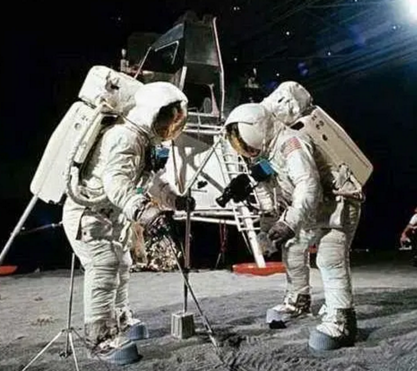 太空|当年我国发射火箭，将两只狗狗英雄送上太空并接回地球，后来如何