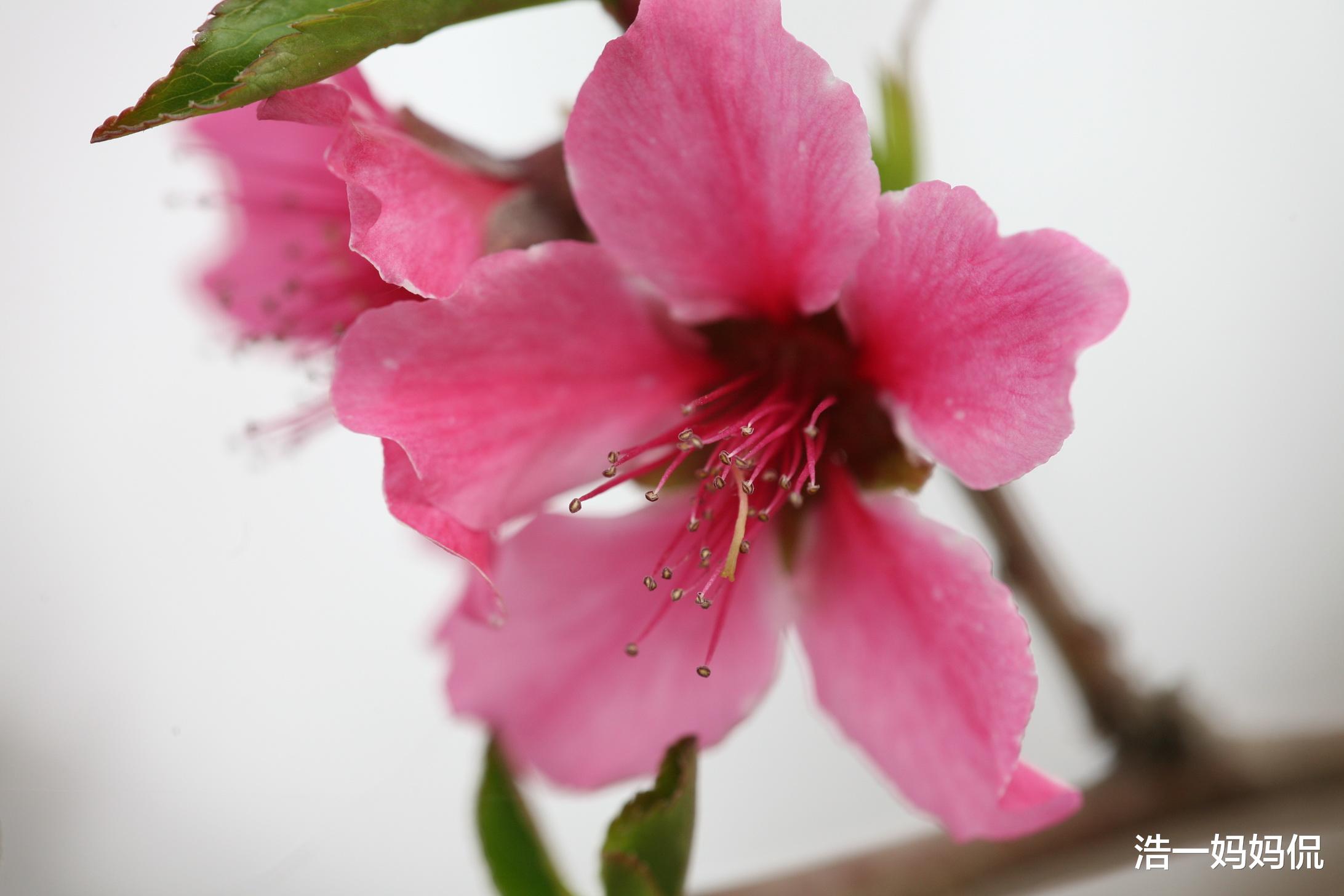 『生肖』6月21号最旺的3大生肖，“生财之局”进入人生上上吉，发财到年底